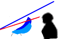 Screen is slightly too tall for this driver! Screen is slightly too tall for this driver!